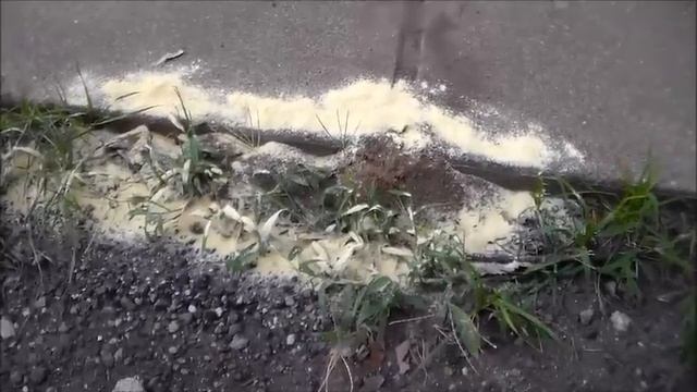 Natural Safe Ant Killer "Cornmeal" смотреть онлайн