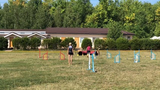 Шустова Тамила и Кукки, старт в Аджилити 2, категория large, 3 место смотреть онлайн