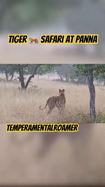 #shortvideo #shorts #youtubeshorts #viral смотреть онлайн