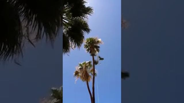 Poda 79 jose смотреть онлайн