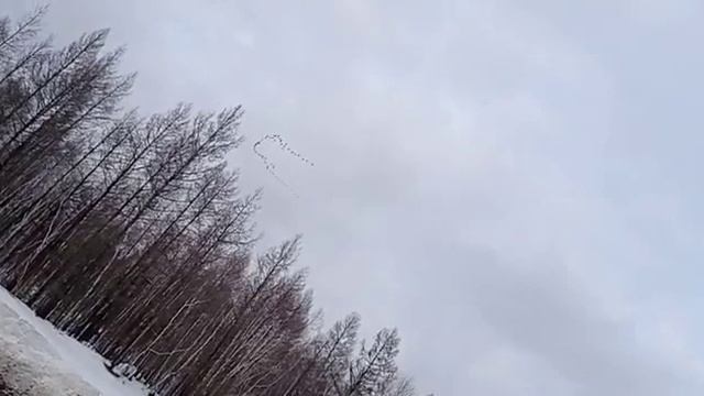 Гусиный клин в Мегино-Кангаласском районе смотреть онлайн