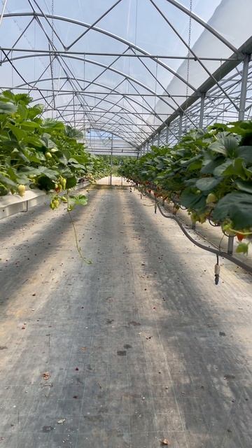 А какой бы выбрали Вы?