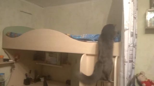 КОТОПЁС Тихан - "Прикуси Улитку". смотреть онлайн