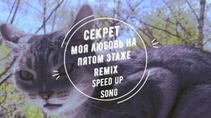 Моя любовь на пятом этаже -  remix speed up song
