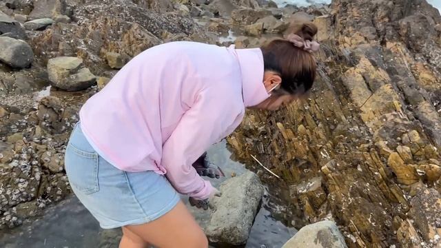 【合集】沙灘上突現巴掌大大蛤蜊，殼大肉多，還有好多大蝦無人撿【牛牛趕海海鮮】 смотреть онлайн