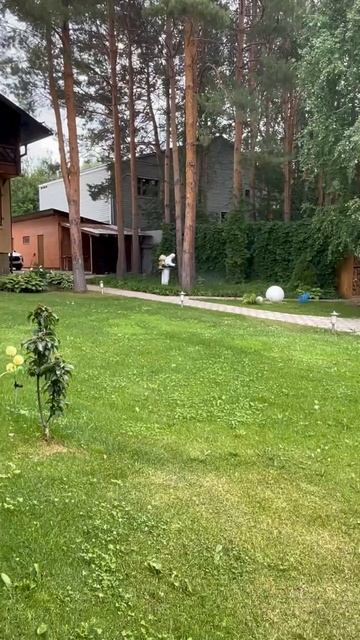 Обработка от комаров и мух, клещей