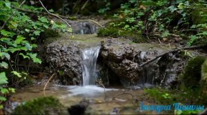 Очищение ЭНЕРГИЕЙ РЕЙКИ . Очищаем квартиры и себя от всего негативного