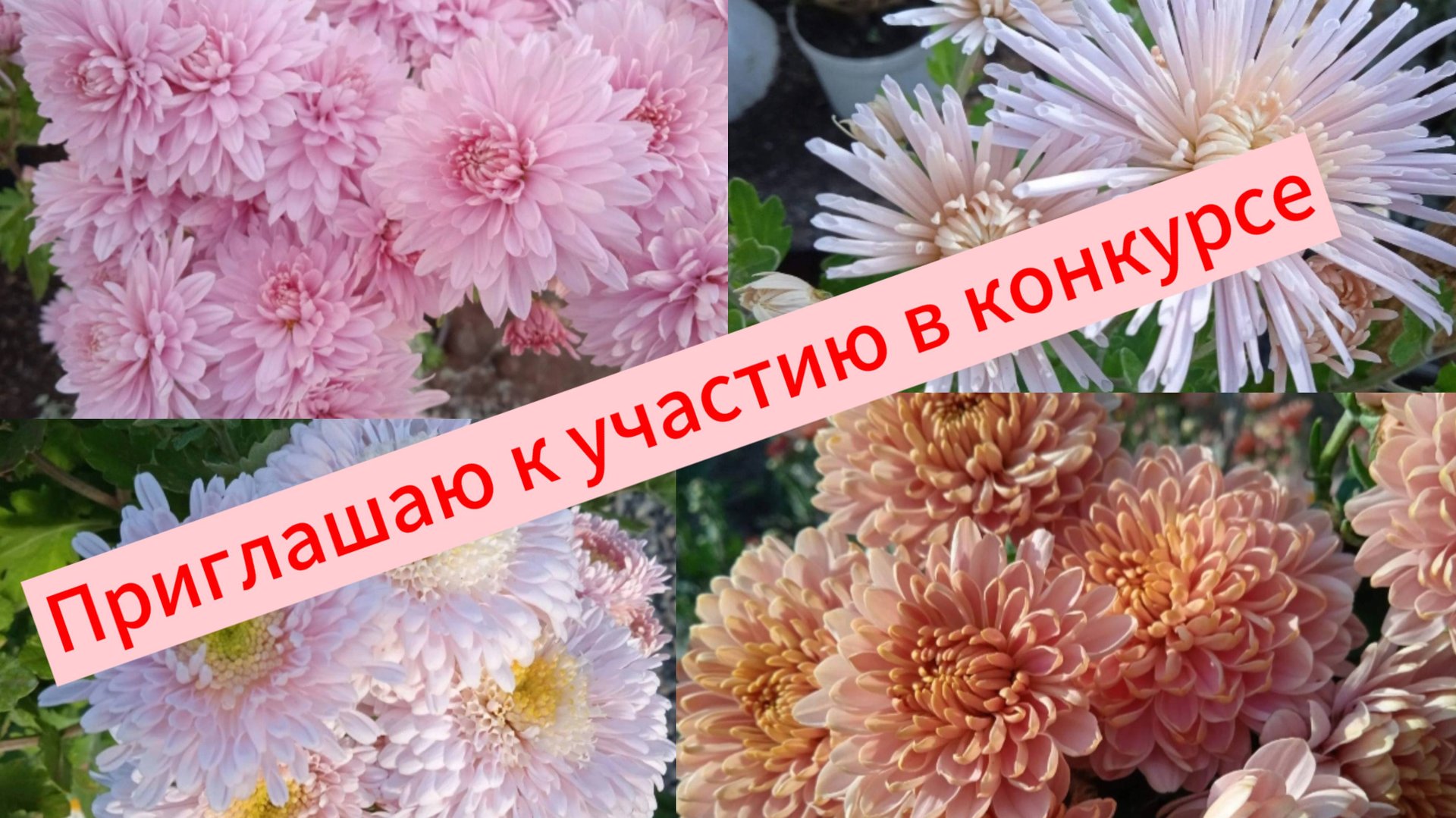 Приглашаю к участию в конкурсе. смотреть онлайн