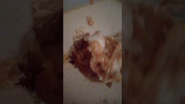 гречиха и трава 🌿 Мёд орловской области 21 года сбор смотреть онлайн