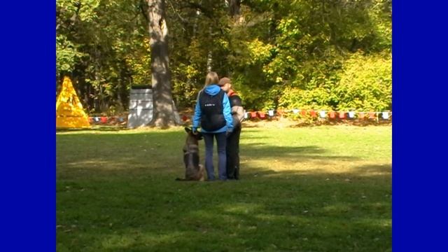 Осень 2015 Климова Елена и VERNA RIVER PLATE IPO 3 C=87 баллов