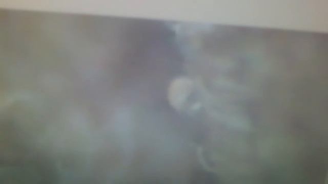 domateste saman akarının tespiti смотреть онлайн