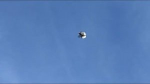 Серпастые голуби, Крым, Партизаны,Бобовкин