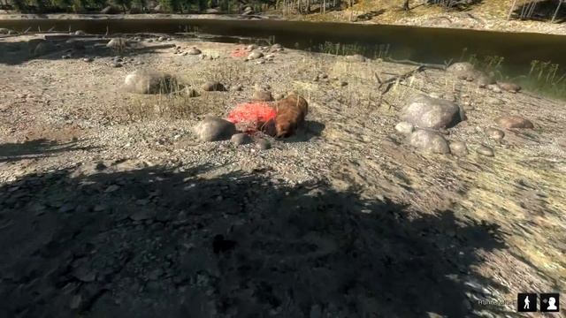 Grizzly Attack The Hunter смотреть онлайн