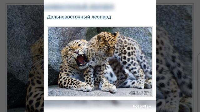 Композиция 9 смотреть онлайн