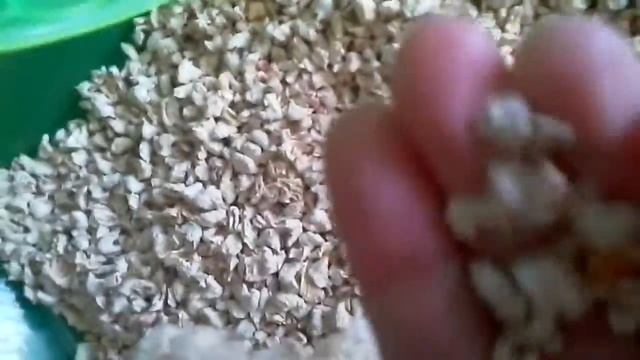Мой новый хома // подписывайтесь на канал "Life-хома Рунька "//🐹🐭🐁🐀🐹 смотреть онлайн