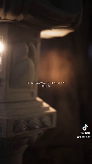 Visiting Japans Largest Tea Region Shizuoka!