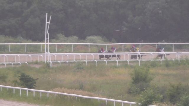 17.06.2018 - 10 Скачка на кобылах 2-х лет арабской породы - Дама Треф Терск смотреть онлайн