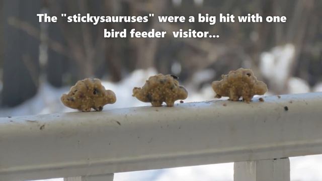 Suet Visitors смотреть онлайн