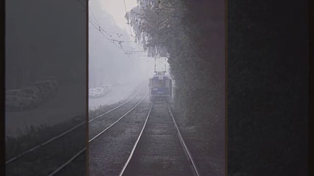 Кино-Сосны на морском берегу (Doomer Wave) Вариант 2 смотреть онлайн