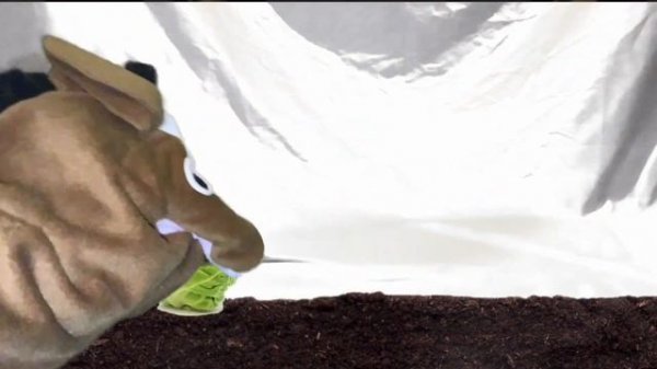 Antonio Wolanin - Thanksgiving Special