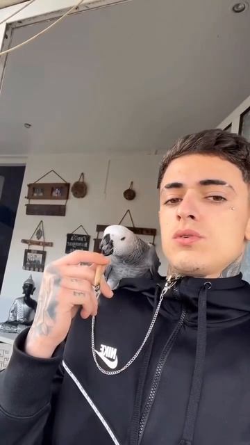 Младший сержант Джек попугай ✌️😉😂😂😂 смотреть онлайн