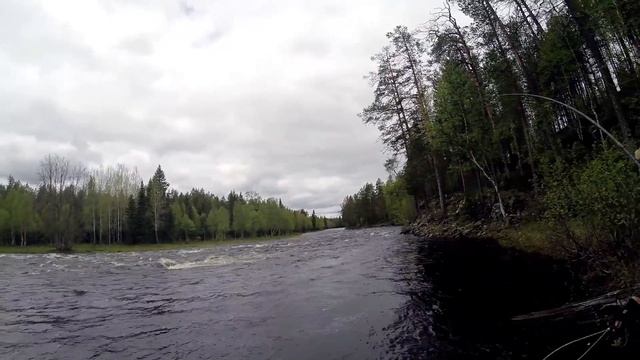 Kuusinki - Taimen 62cm / 2,34 kg смотреть онлайн