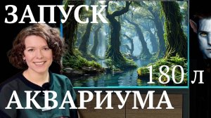 ЗАПУСК АКВАРИУМА 180 ЛИТРОВ ПОШАГОВО! Дизайн и оборудование | Маша Блюм