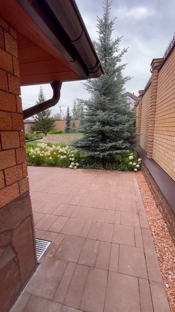 Обработка участка от насекомых