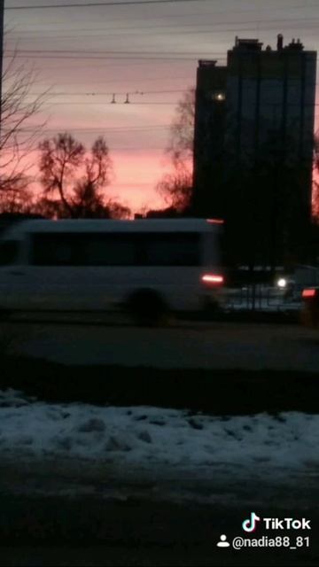 фразы,цитаты,жизнь смотреть онлайн