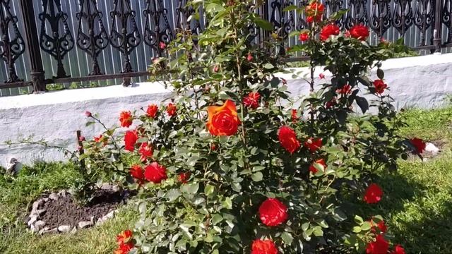 С праздником Успения Божией Матери!