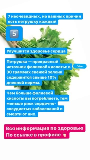 7 важных причин есть петрушку каждый день #петрушка #здоровье #витамины #микроэлементы #лишнийвес смотреть онлайн