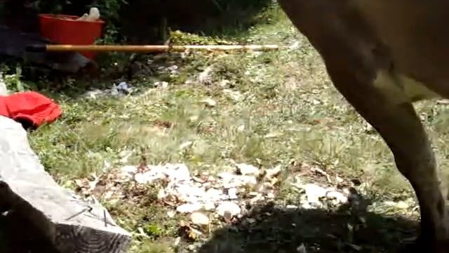 с.Чорна Тыса смотреть онлайн