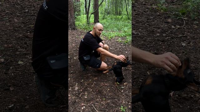 команда - Заяц смотреть онлайн