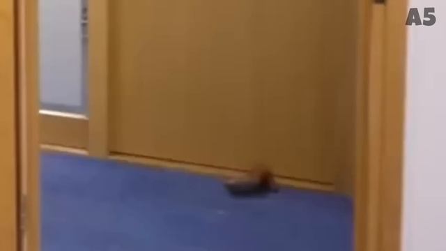 муд а4 смотреть онлайн