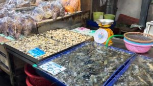 Рынок морепродуктов на севере Паттайи Кальмары крабы рыба мидии устрицы
