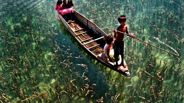 30 ФОТО, СДЕЛАННЫХ В НУЖНЫЙ МОМЕНТ смотреть онлайн