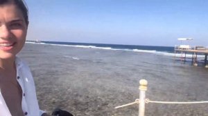 Египет Jaz Mirabel Beach завтрак пляж ресторан