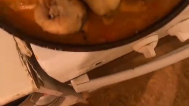 Итог ночной рыбалки!#рыбалка2023 #рыба в томатной заливке😋😋😋 смотреть онлайн