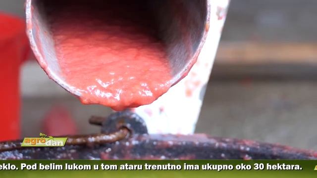 AgroDan_17.09.2020 смотреть онлайн