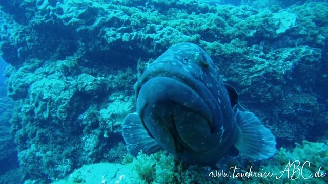 Santa Maria - Azoren 2020 смотреть онлайн