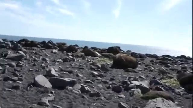 Вик Камешки смотреть онлайн