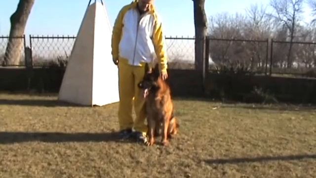 Maximuss Fixfrutta stand head смотреть онлайн