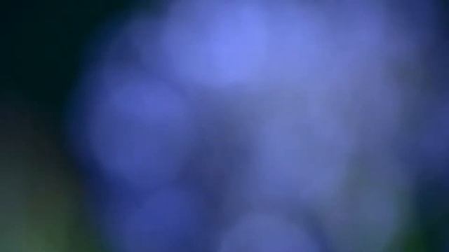 Мое измененное видео смотреть онлайн