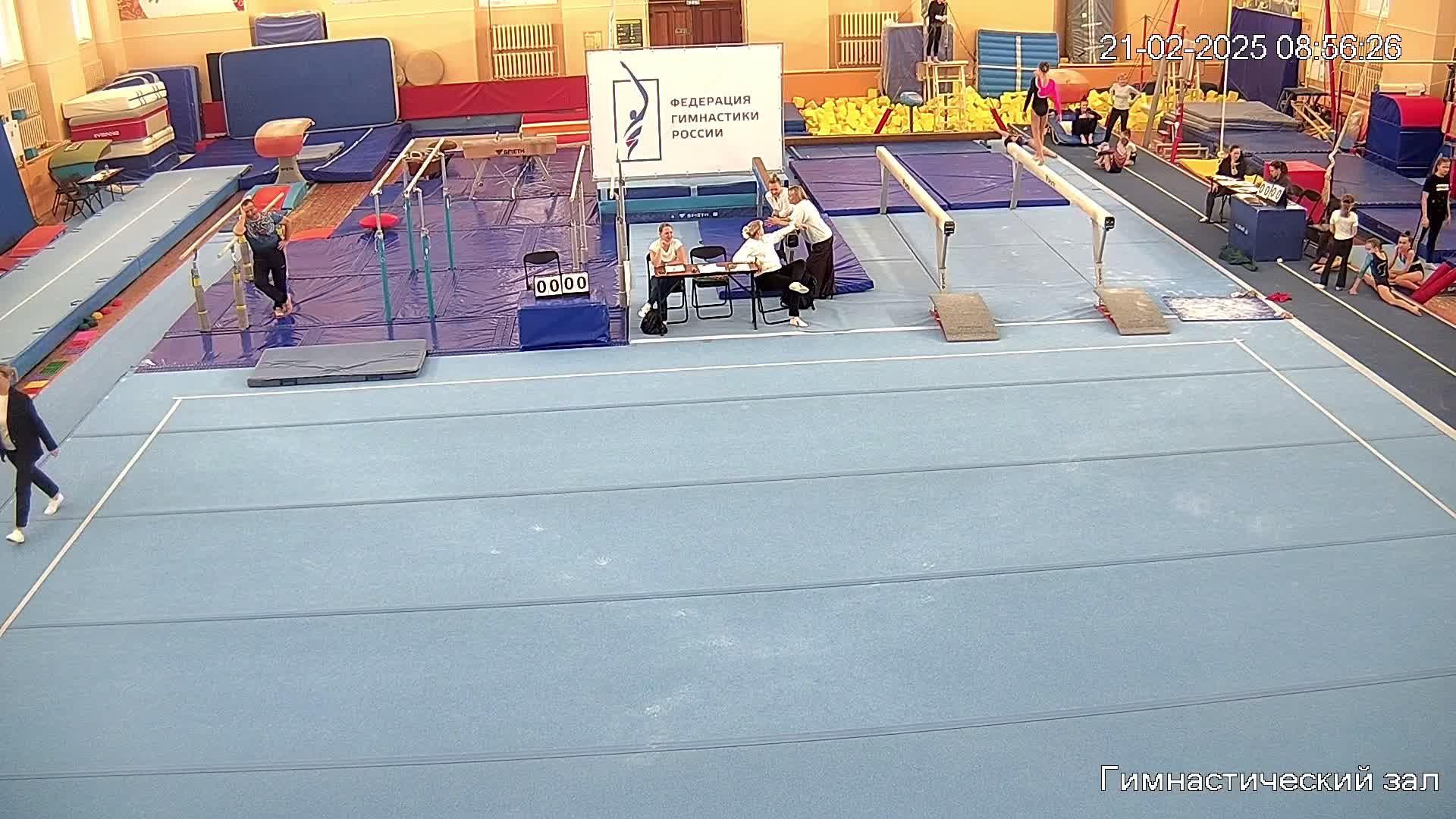 Чемпионат и Первенство СЗФО по спортивной гимнастике смотреть онлайн