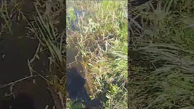 карась 1 часть смотреть онлайн