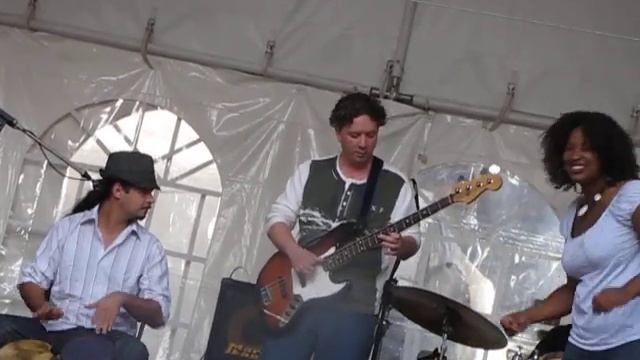 Vladimir Sitnikov Bass Solo @ 2009 Brantford Jazz Festival смотреть онлайн