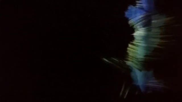 Галерея МедиаАрт в Абрау Дюрсо смотреть онлайн