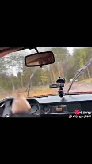 Креосан
