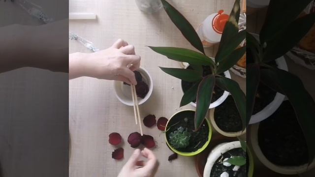 Diy Свеча с сухоцветами смотреть онлайн