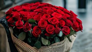 С Днем Рождения, Любимая 😍